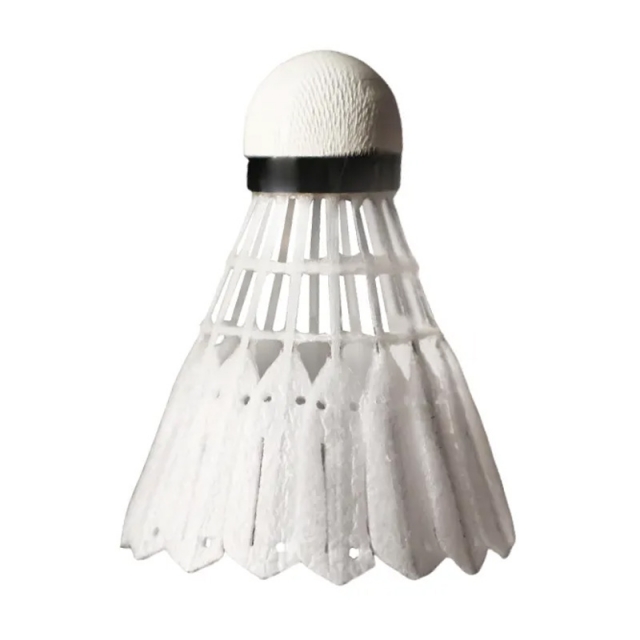 VICTOR 新碳音球 專業級 NCS Pro