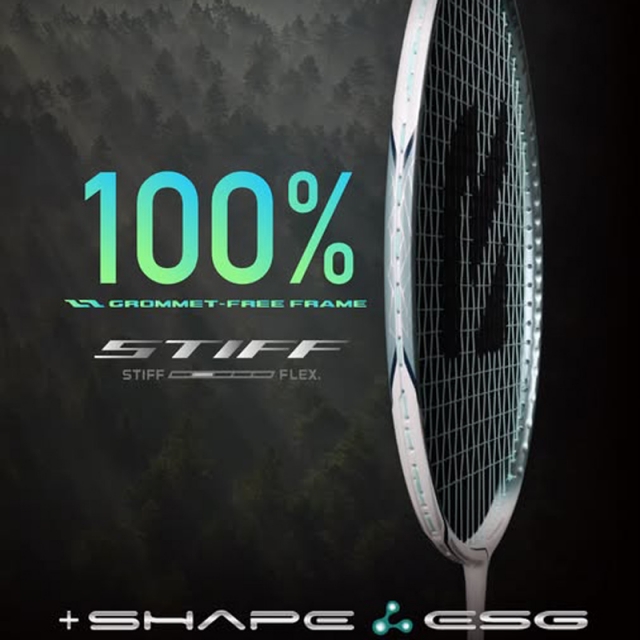REDSON SHAPE ESG STIFF 羽球拍